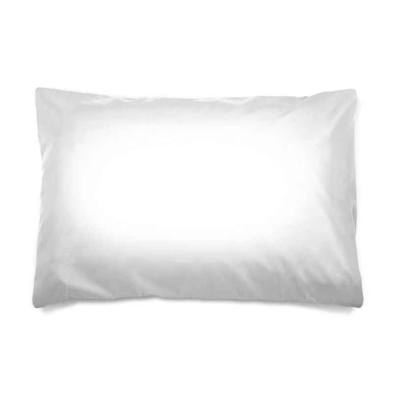 Silk Pillow Cases sizes